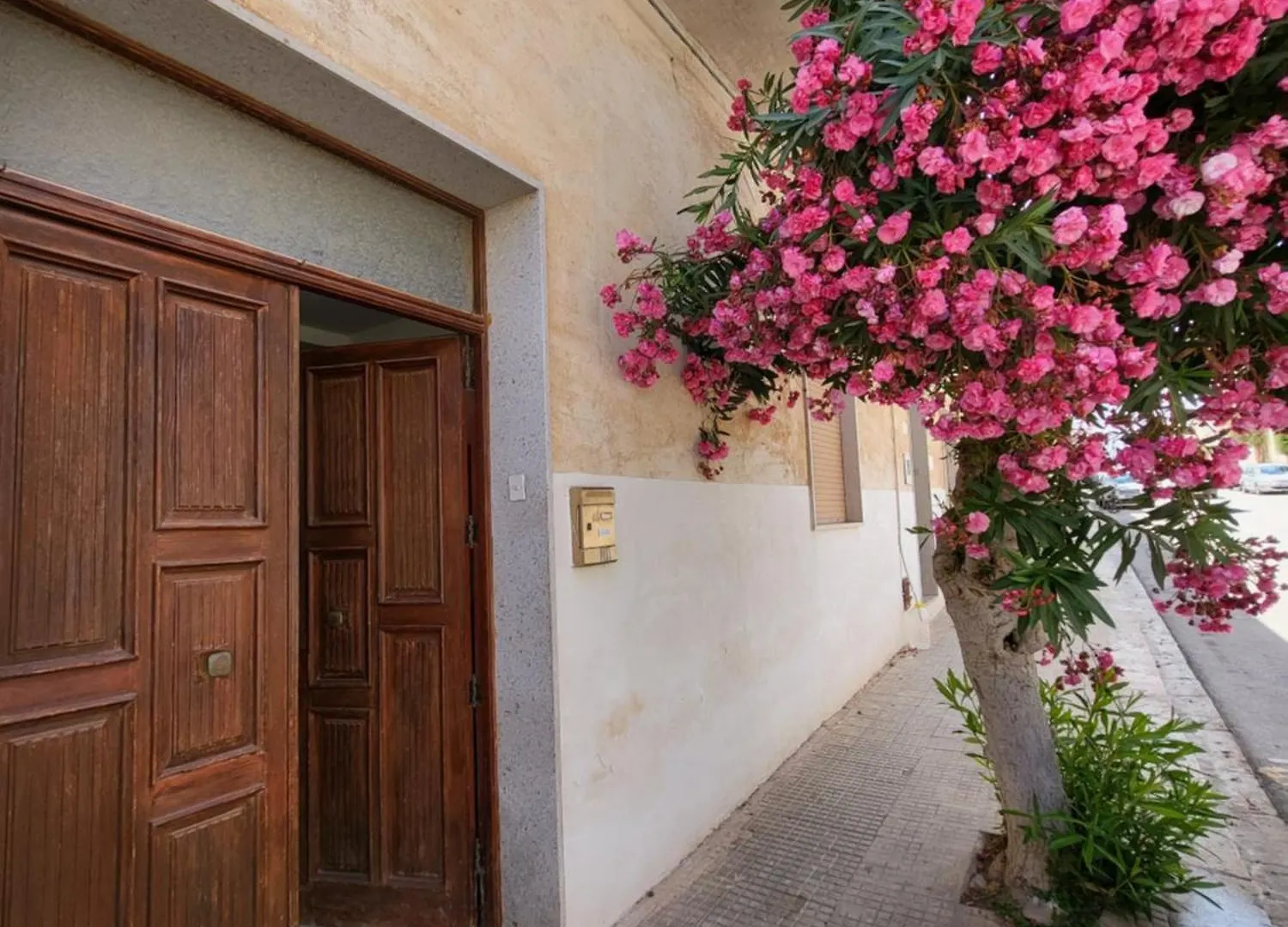 Lägenhet Appartamento Fior Di Mare San Vito Lo Capo